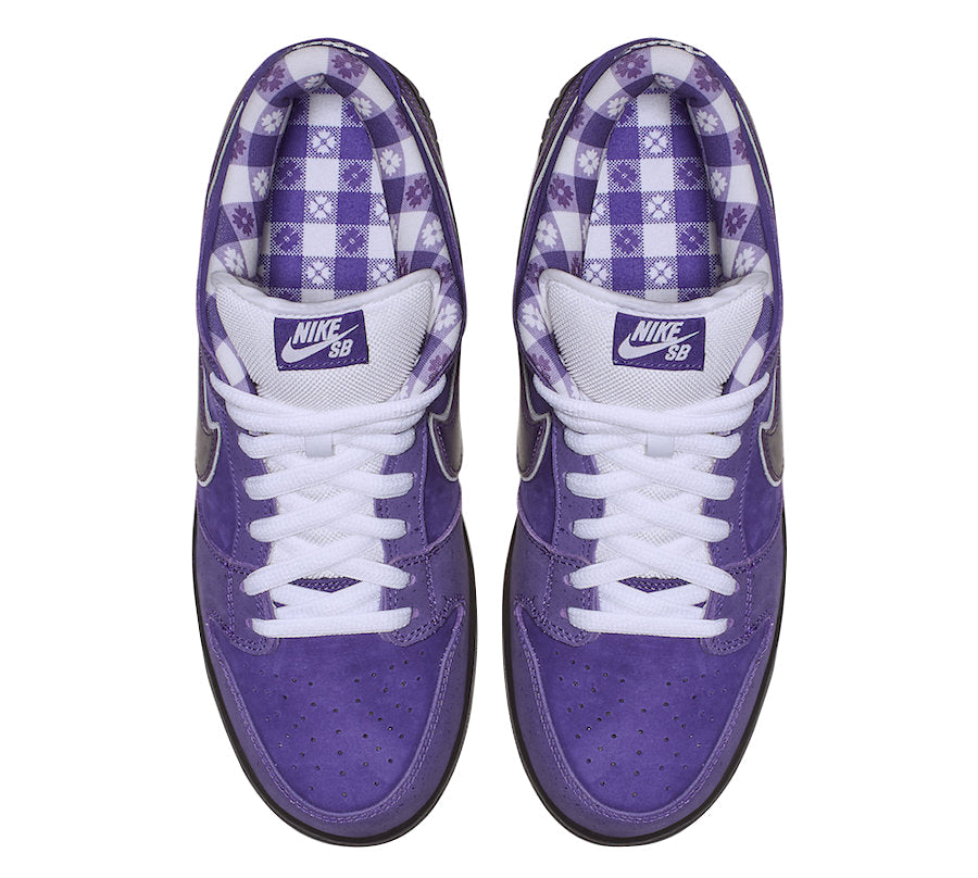 Concepts X Nike SB Dunk Low Purple Lobster BV1310-555