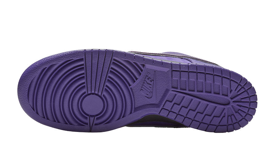Concepts X Nike SB Dunk Low Purple Lobster BV1310-555