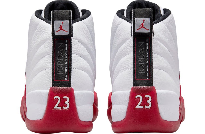 Air Jordan 12 Cherry 2023 CT8013-116